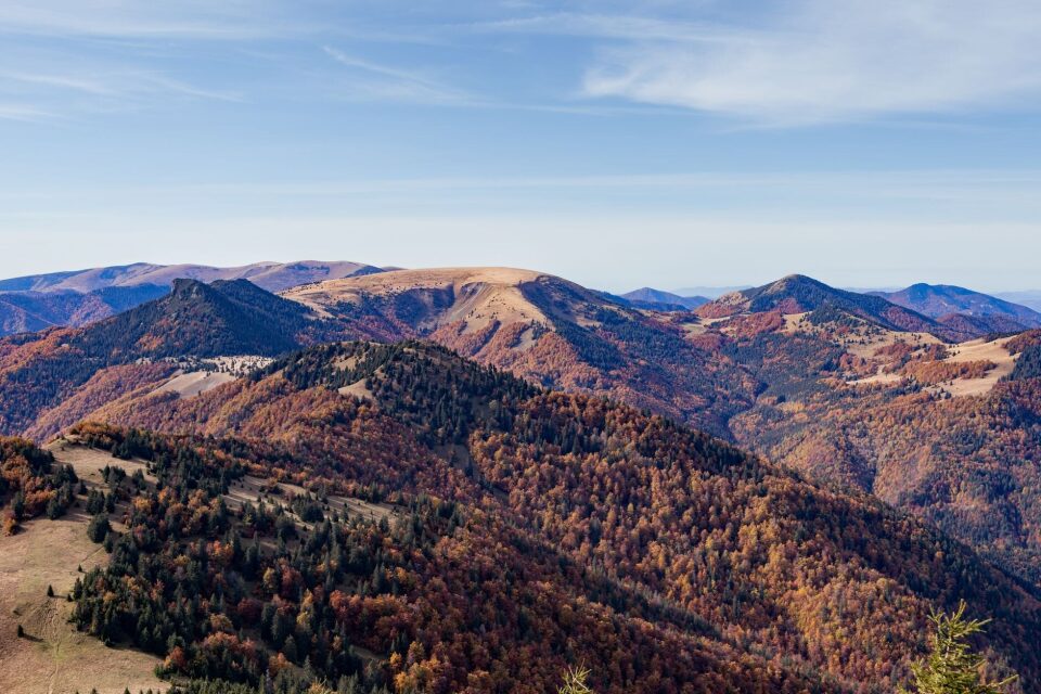 Трав’яний чай